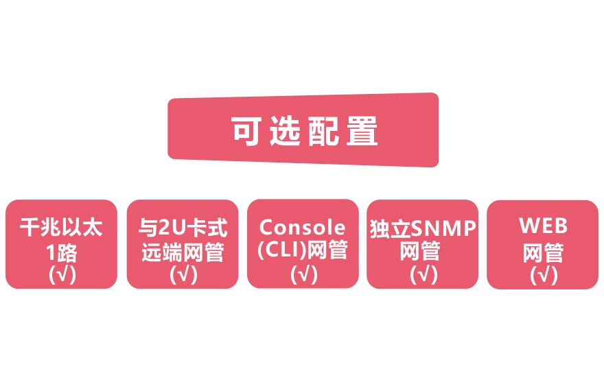 飞畅科技-网管型 工业级1光1电千兆光纤收发器